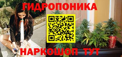 соль ск Пушкино