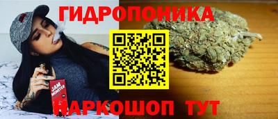 соль ск Пушкино